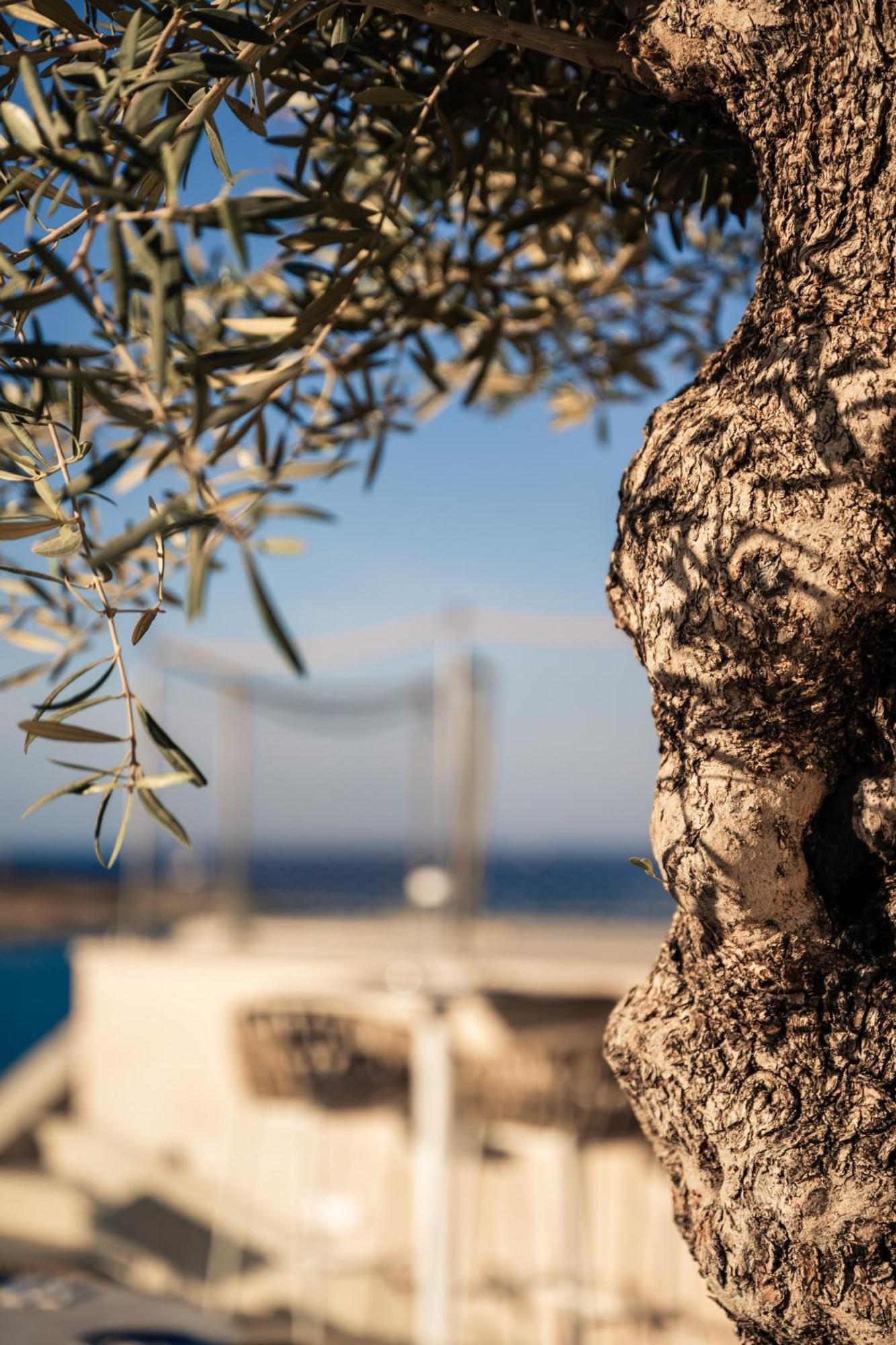 XVI Suites - Adults Only Naxxar Exterior photo